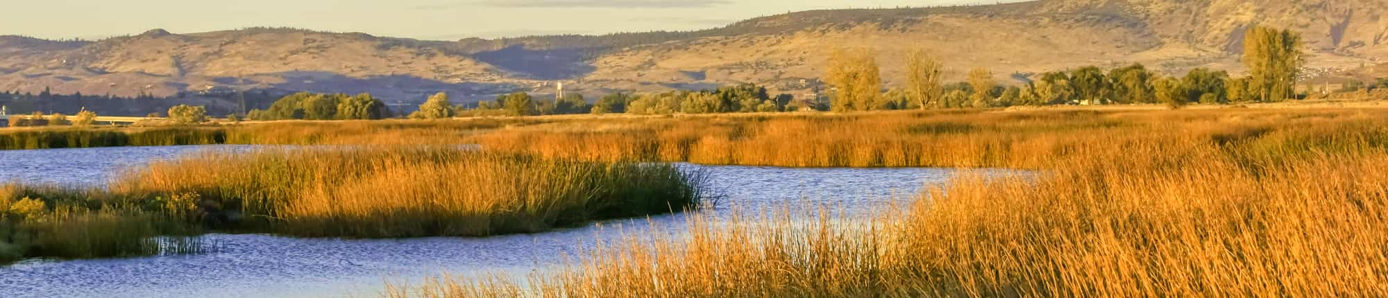 Tule Lake.