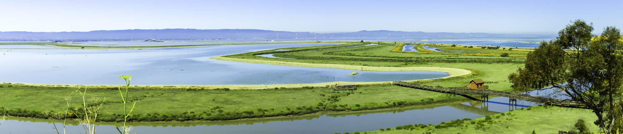 San Francisco Bay Wildlife Refuge.